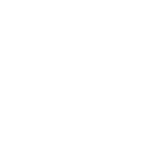 www.instagram.com/regnitzflimmern